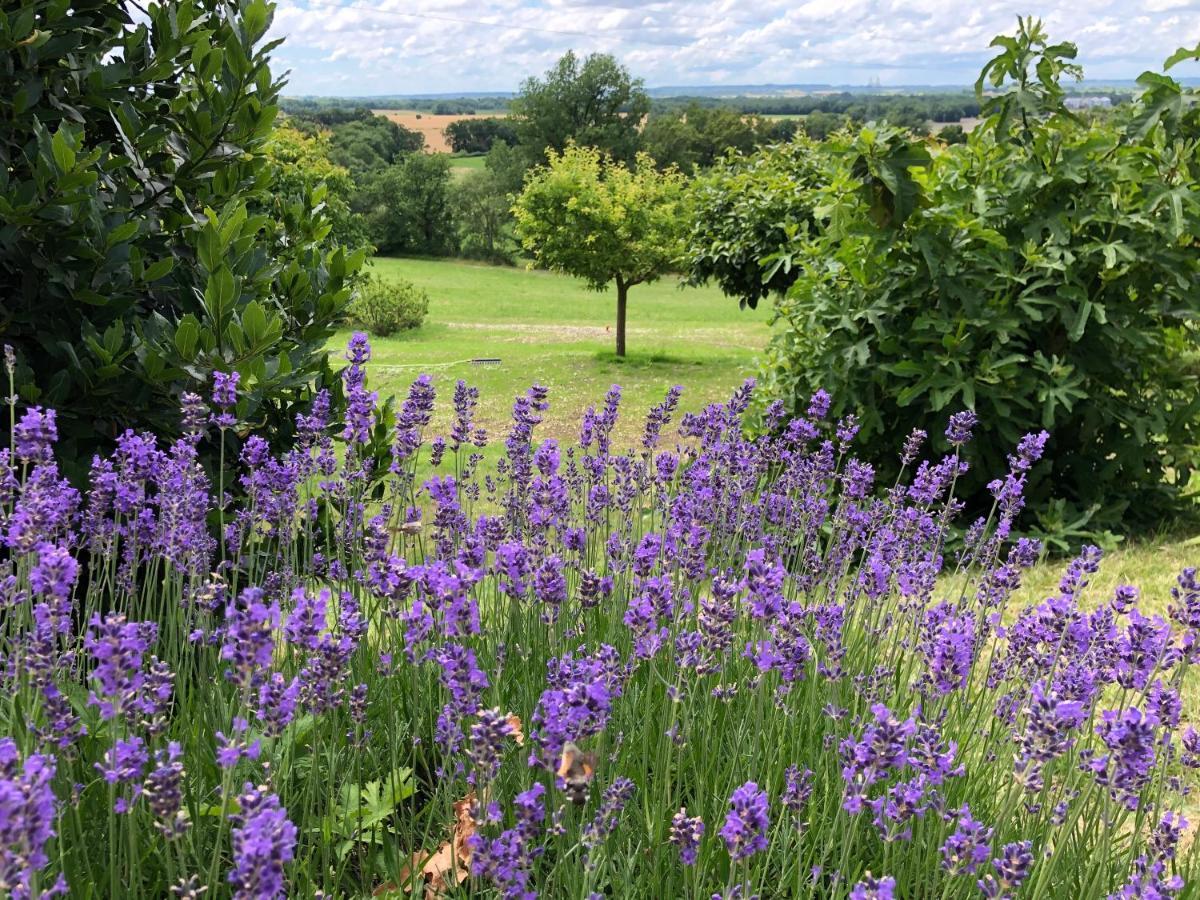 Bardou La Ferme Buissonniere Bed & Breakfast エクステリア 写真