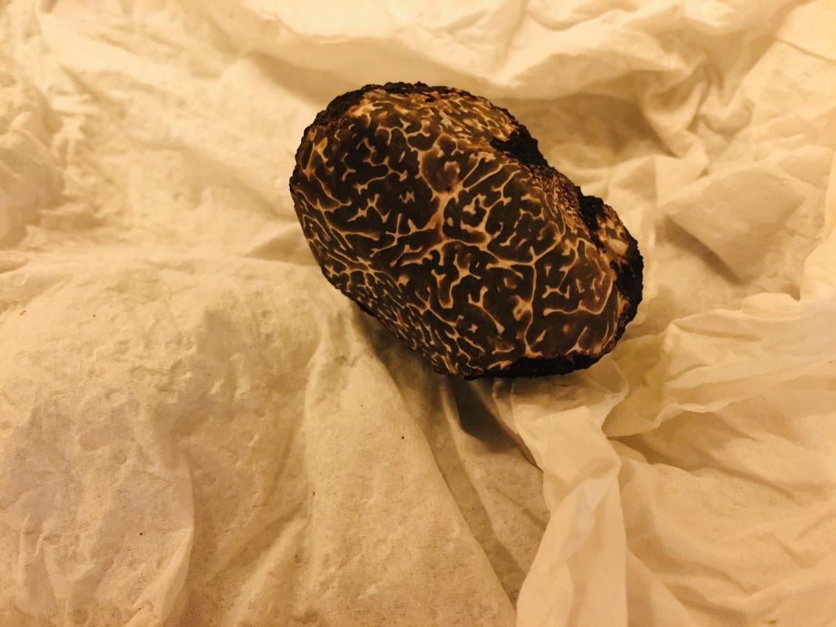 Bardou La Ferme Buissonniere Bed & Breakfast エクステリア 写真