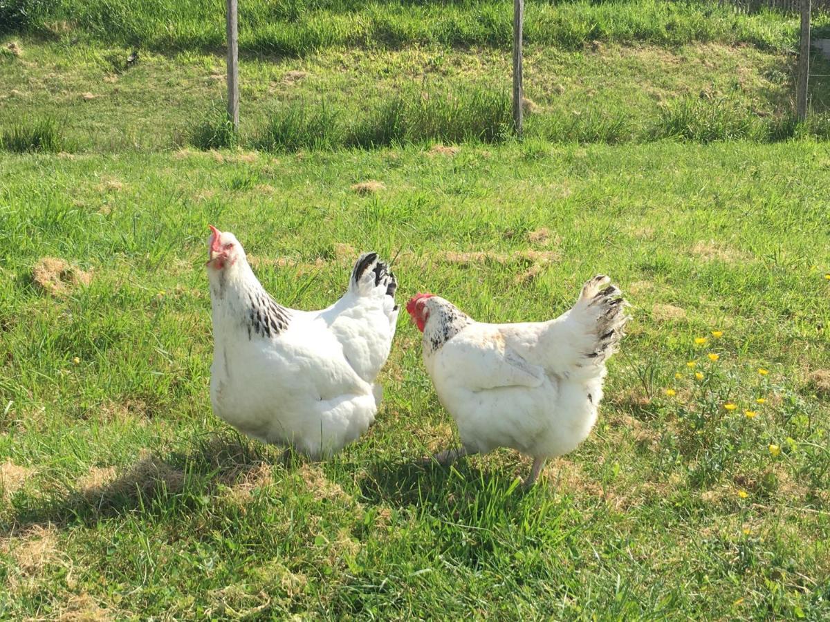 Bardou La Ferme Buissonniere Bed & Breakfast エクステリア 写真